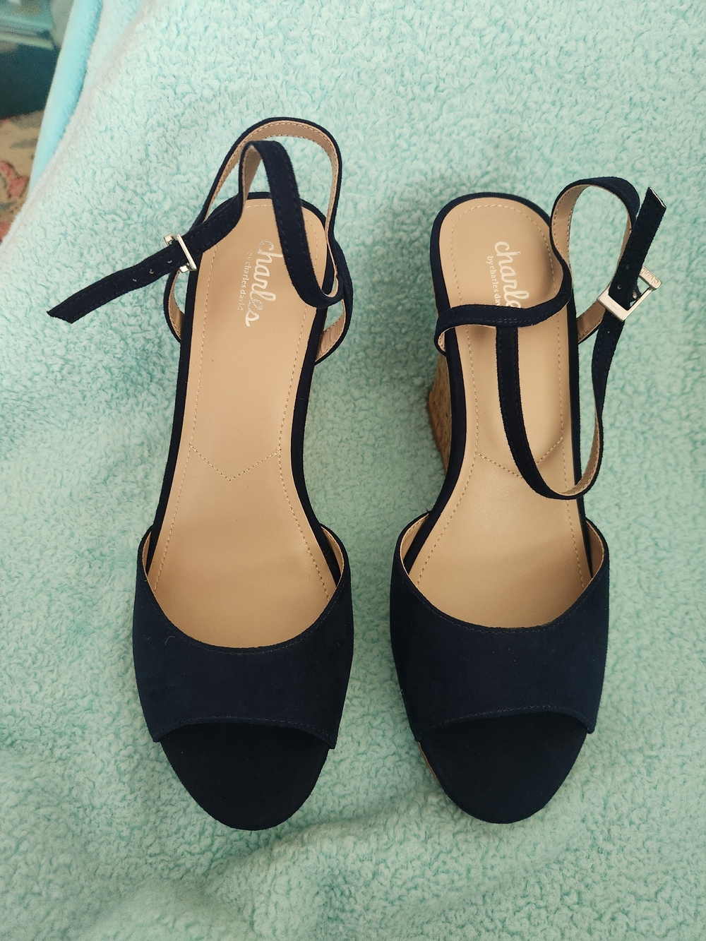 Charles by Charles David Navy Suede Wedge Sandals